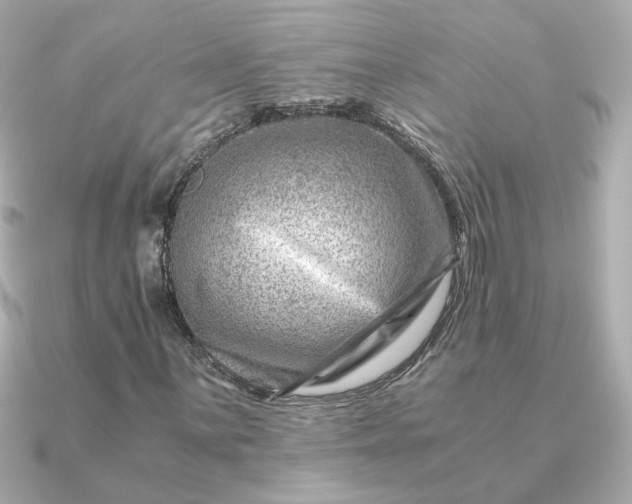 X0000090881059200708101340