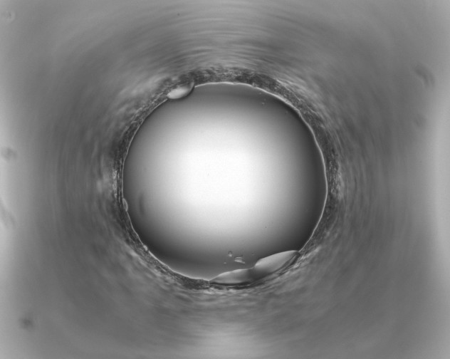 X0000090881061200708101340