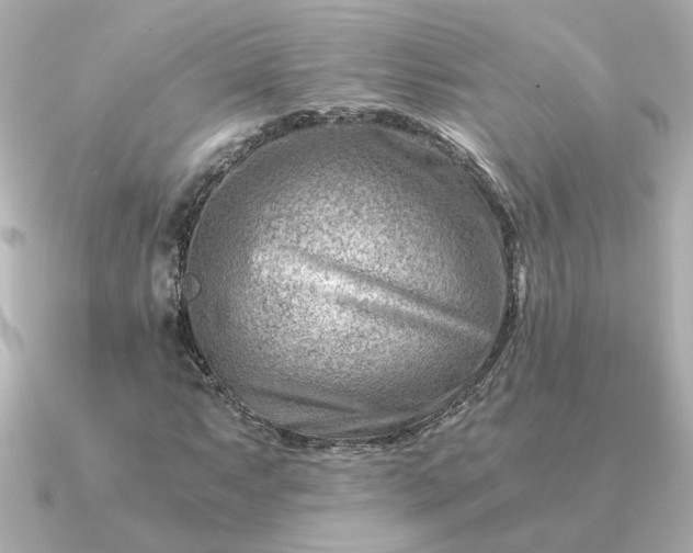 X0000090881063200708101340