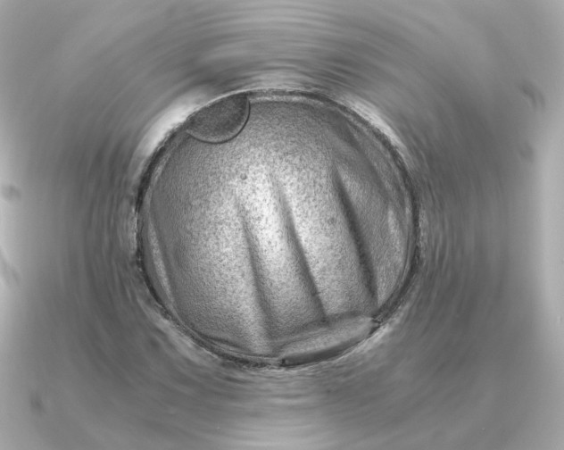 X0000090881067200708101340