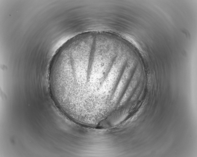 X0000090881071200708101340