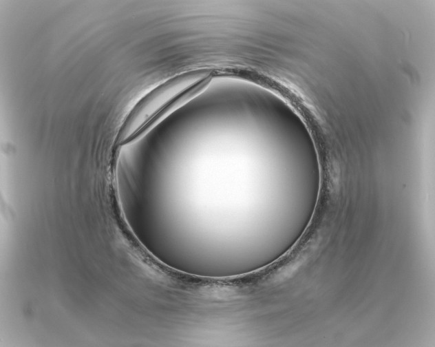 X0000090881073200708101340