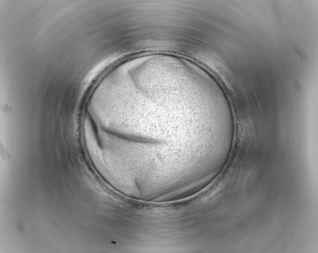 X0000090881074200708101340