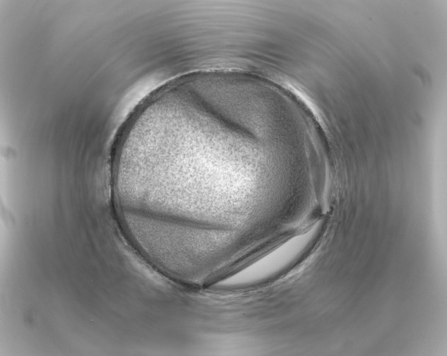 X0000090881075200708101340