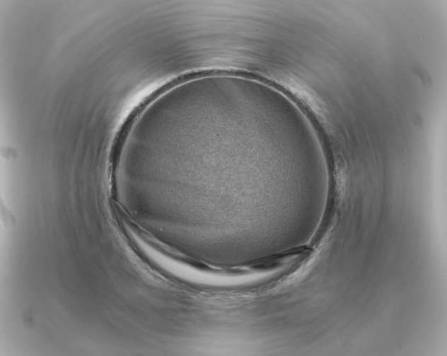 X0000090881077200708101340