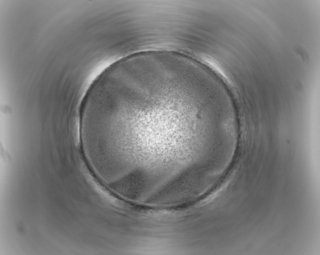 X0000090881079200708101340