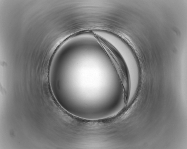 X0000090881081200708101340