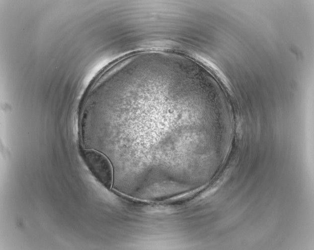 X0000090881083200708101340