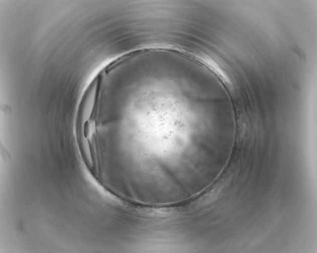 X0000090881084200708101340