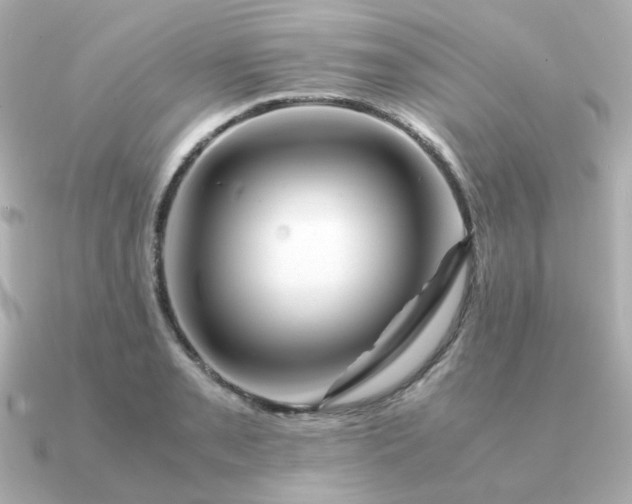 X0000090881085200708101340