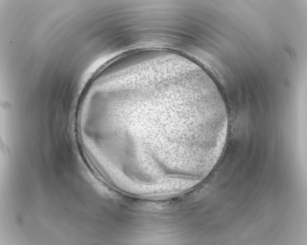 X0000090881086200708101340