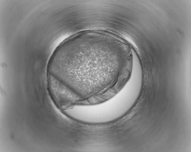 X0000090881087200708101340