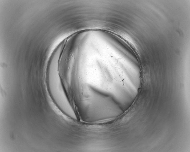 X0000090881088200708101340