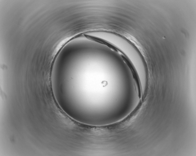 X0000090881089200708101340