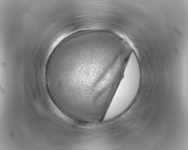 X0000090881091200708101340