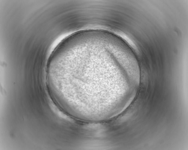 X0000090881094200708101340