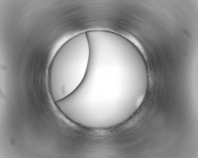 X0000090881096200708101340