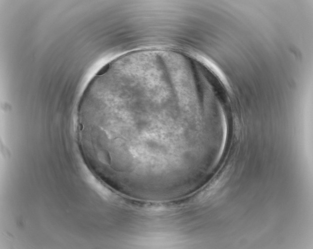 X0000090881099200708101340