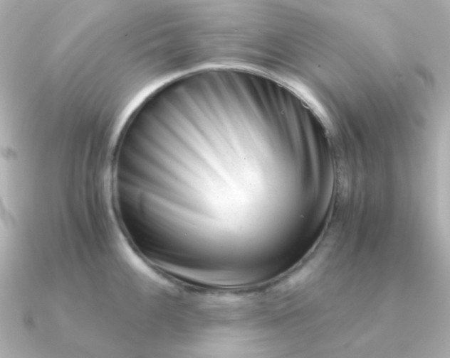 X0000090881100200708101340