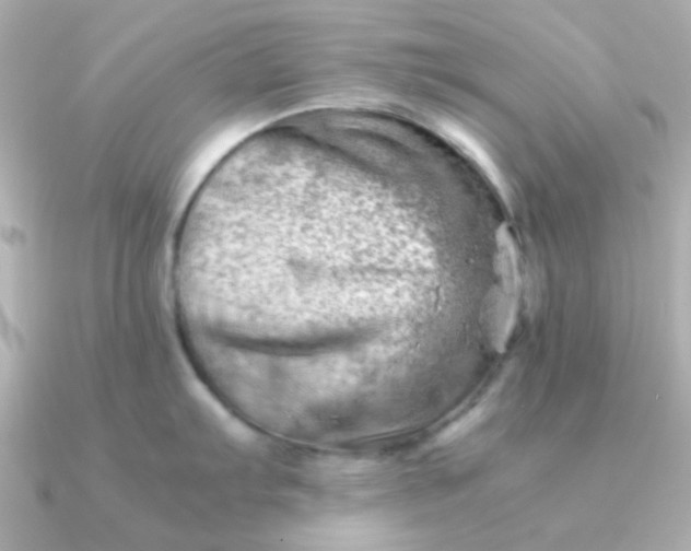 X0000090881103200708101340