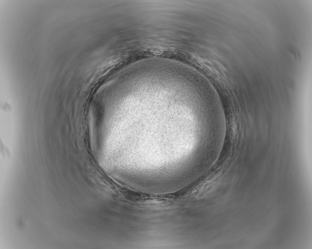 X0000090881105200708101339