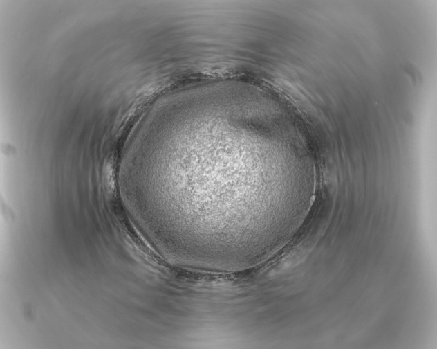 X0000090881106200708101339