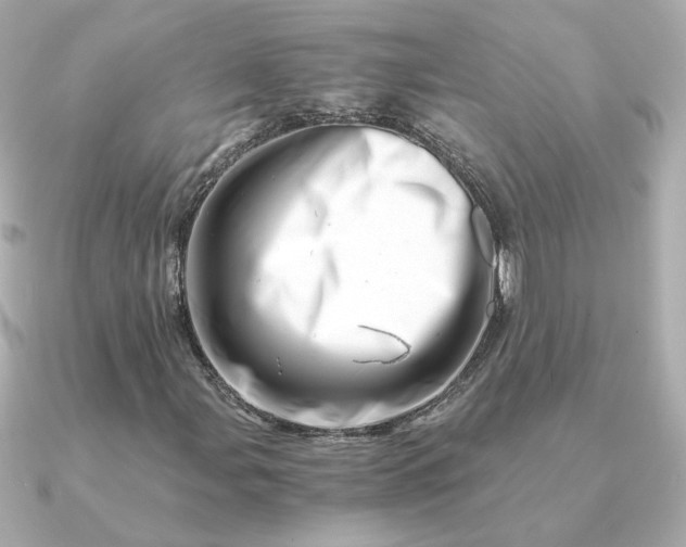 X0000090881107200708101339