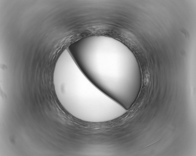 X0000090881108200708101339