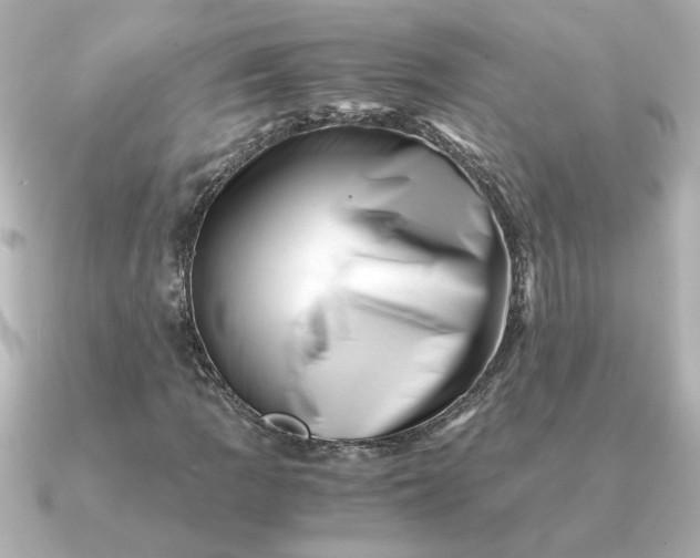 X0000090881109200708101339