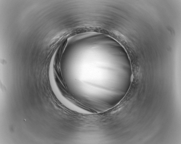 X0000090881110200708101339