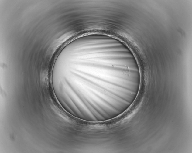 X0000090881113200708101339