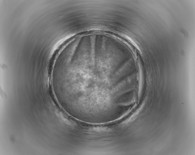 X0000090881117200708101340