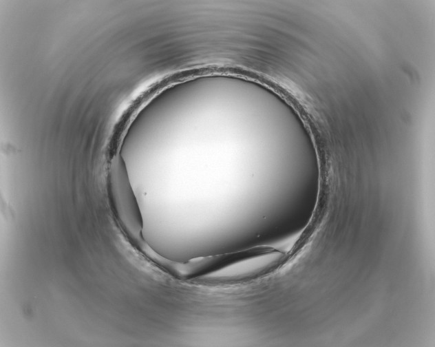 X0000090881118200708101340