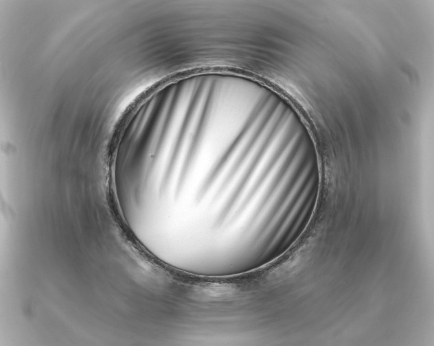 X0000090881119200708101340