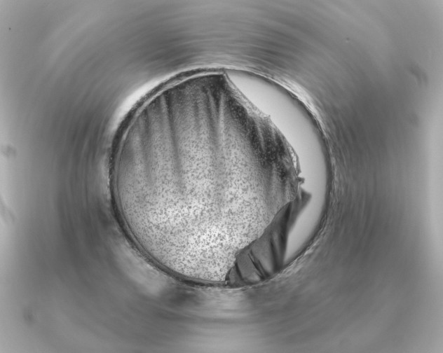 X0000090881120200708101340