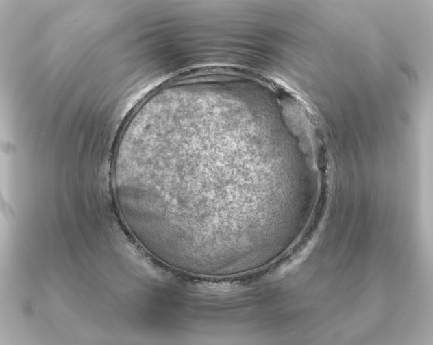 X0000090881121200708101340