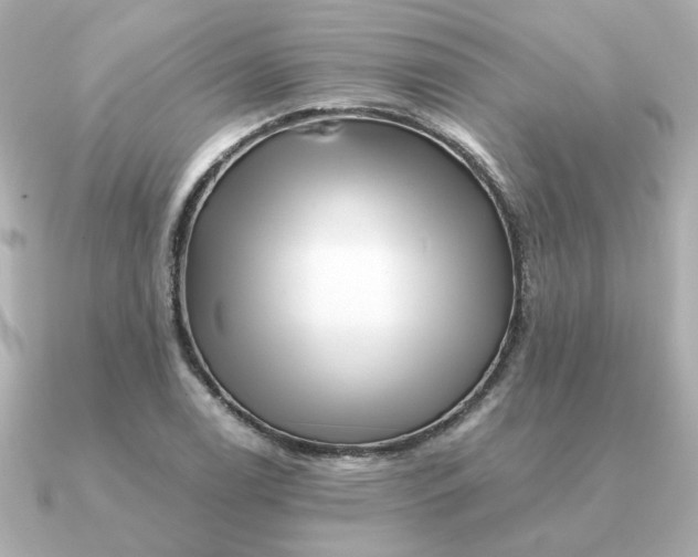 X0000090881122200708101340