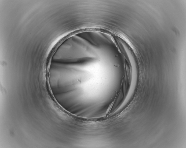 X0000090881124200708101340