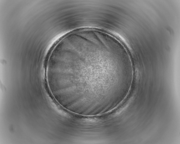 X0000090881125200708101340