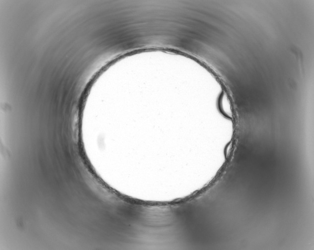 X0000090881126200708101340