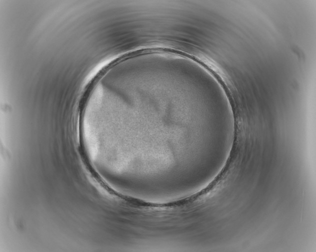 X0000090881127200708101340