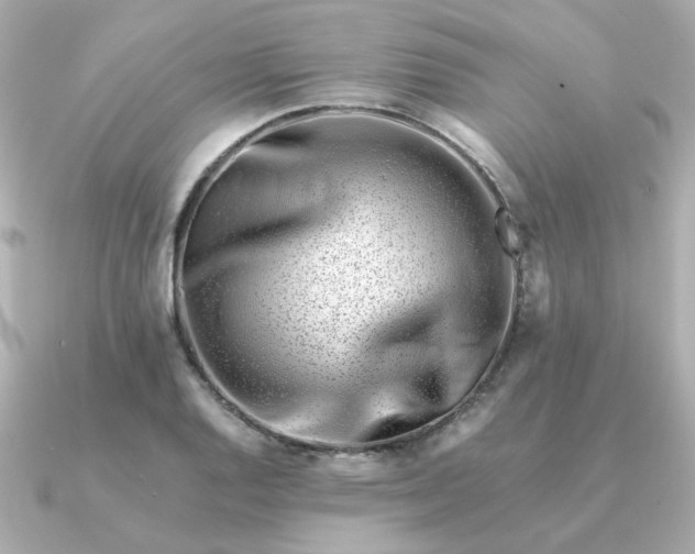 X0000090881128200708101340