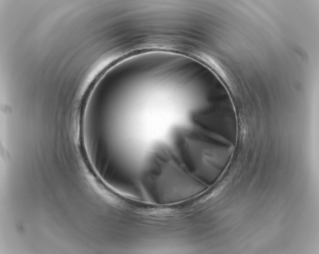 X0000090881131200708101340