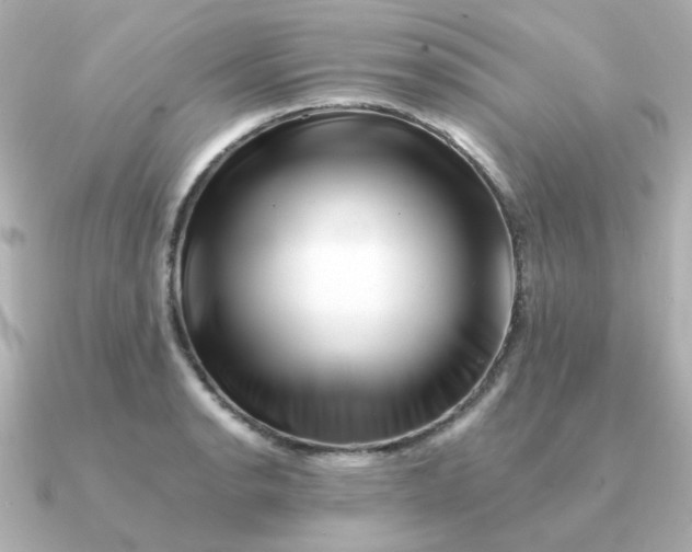 X0000090881134200708101340