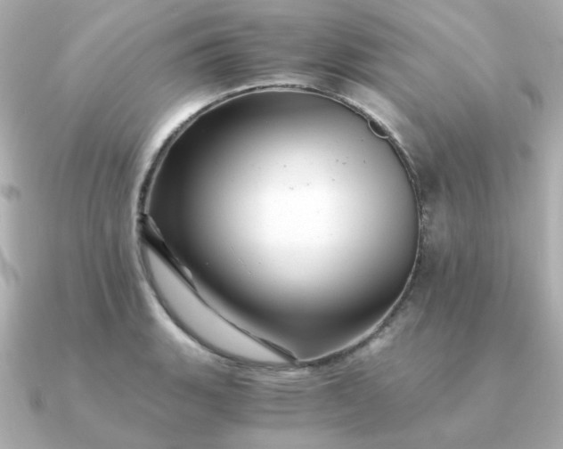 X0000090881135200708101340