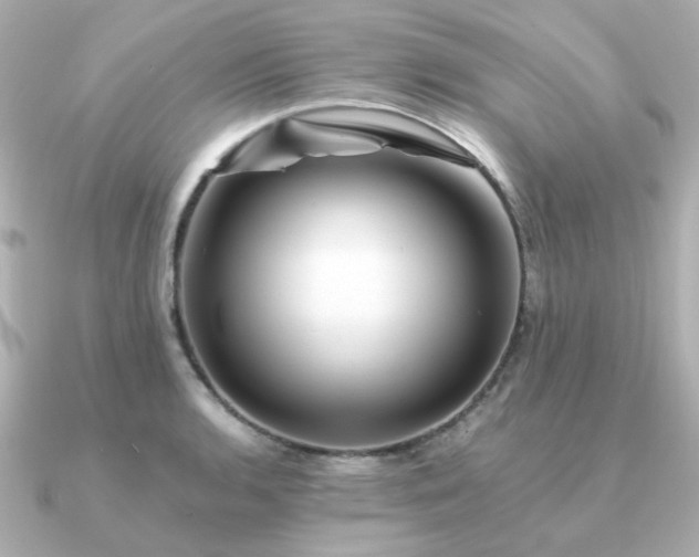 X0000090881136200708101340