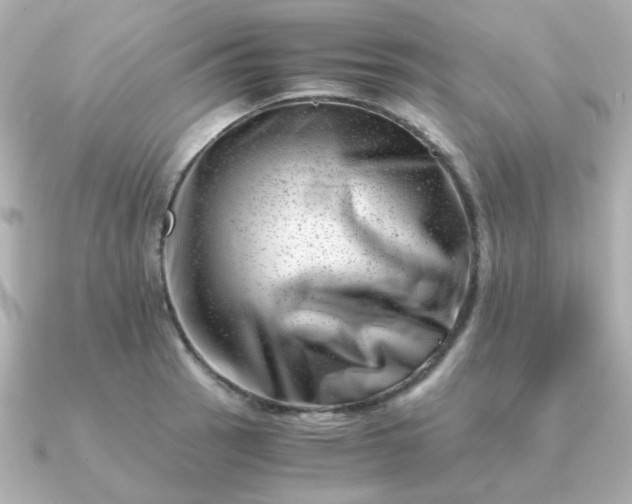 X0000090881137200708101340