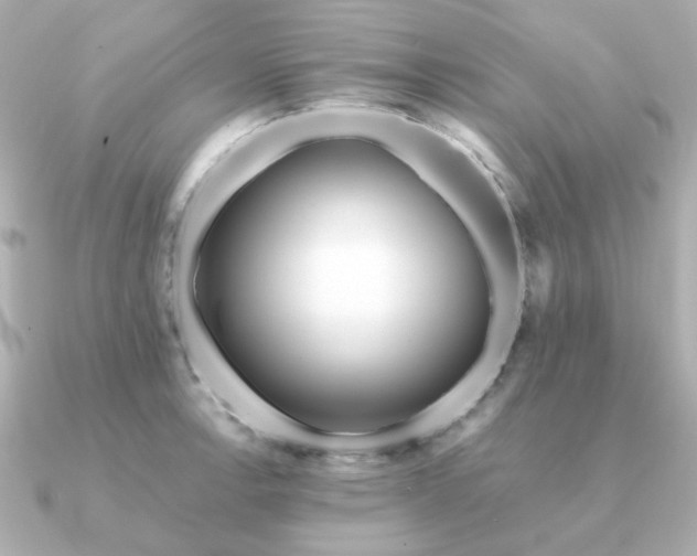 X0000090881138200708101340