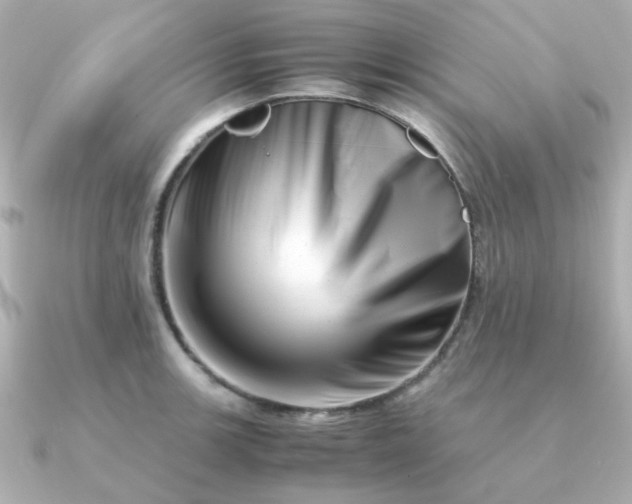 X0000090881139200708101340