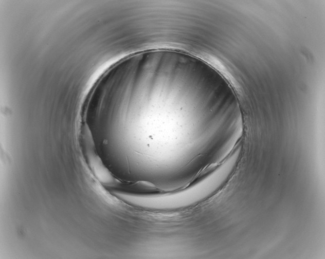 X0000090881140200708101340